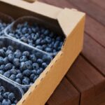 berry packaging