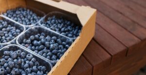 berry packaging